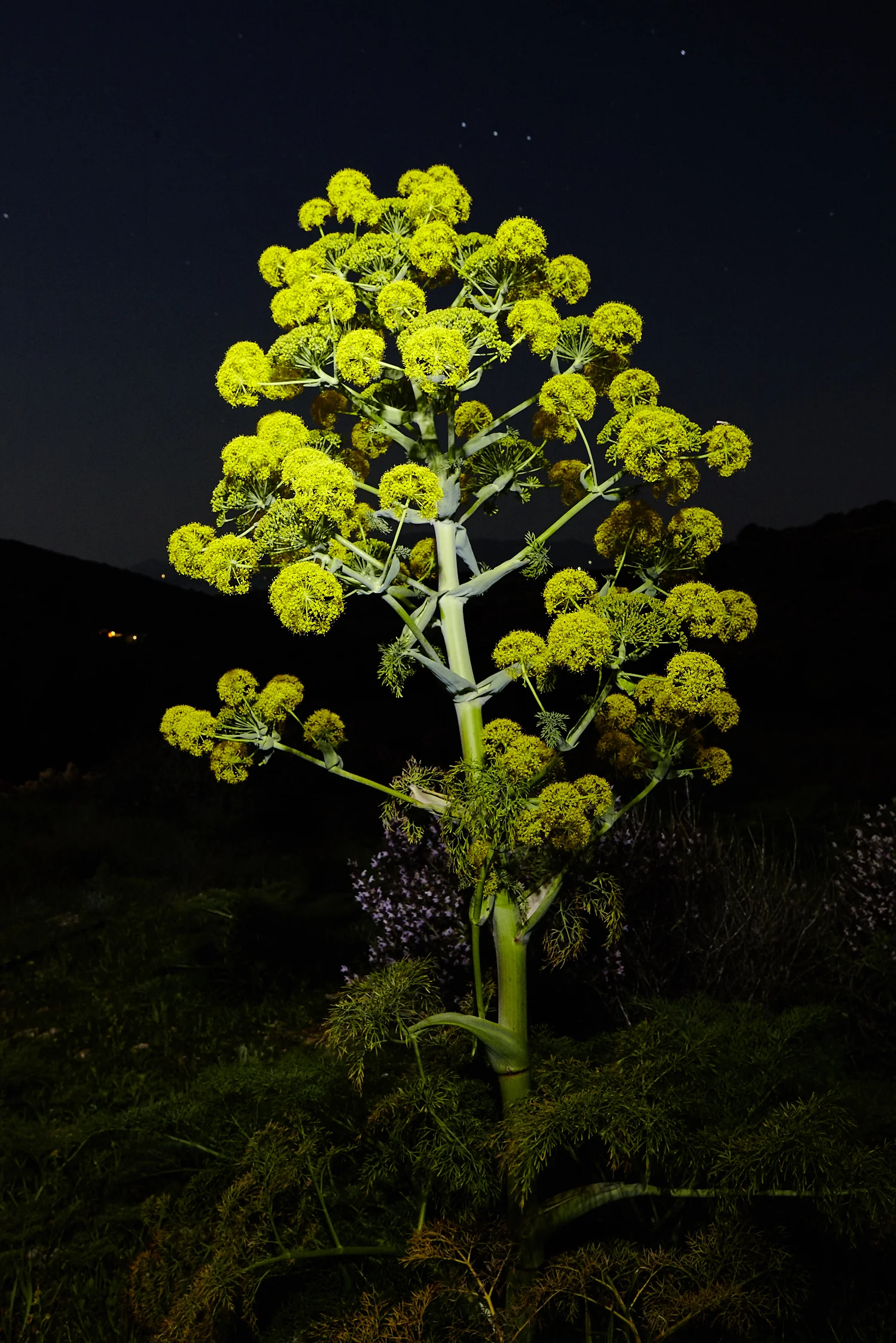 Jan Strempel Paros 2016_MG_7574.jpg