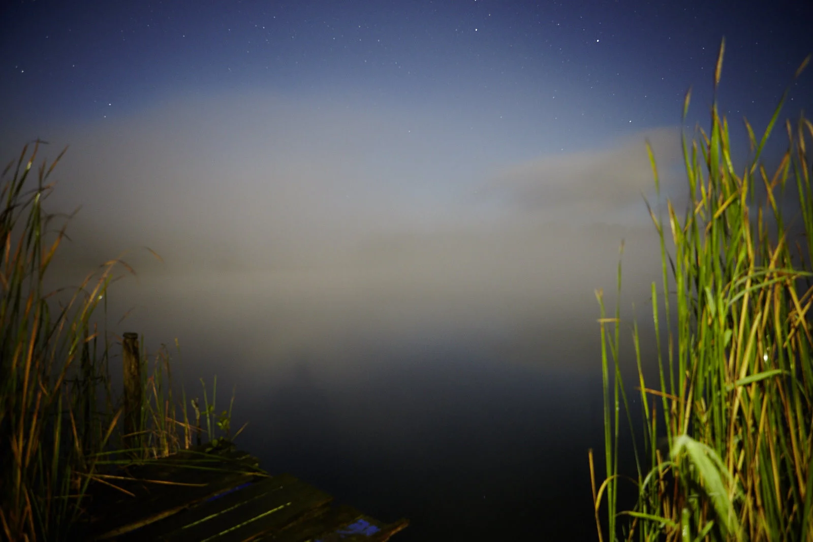 Jan Strempel Nebel Pehlitz 8.2016_MG_9546.jpg
