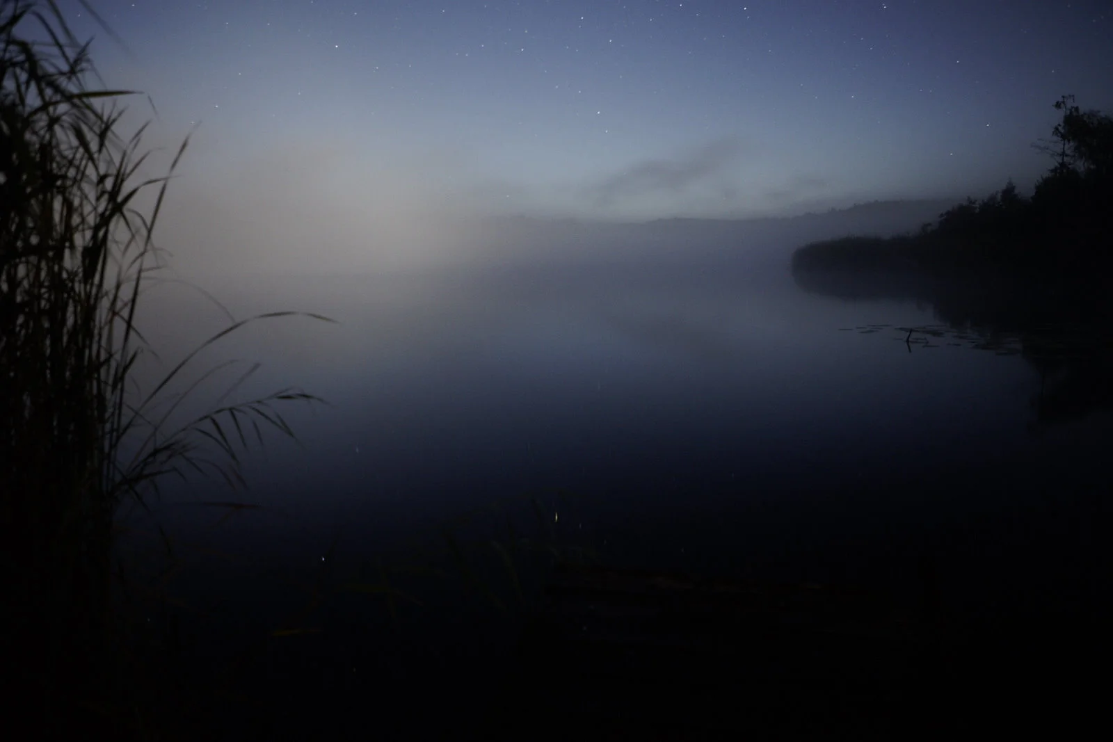 Jan Strempel Nebel Pehlitz 8.2016_MG_9552.jpg