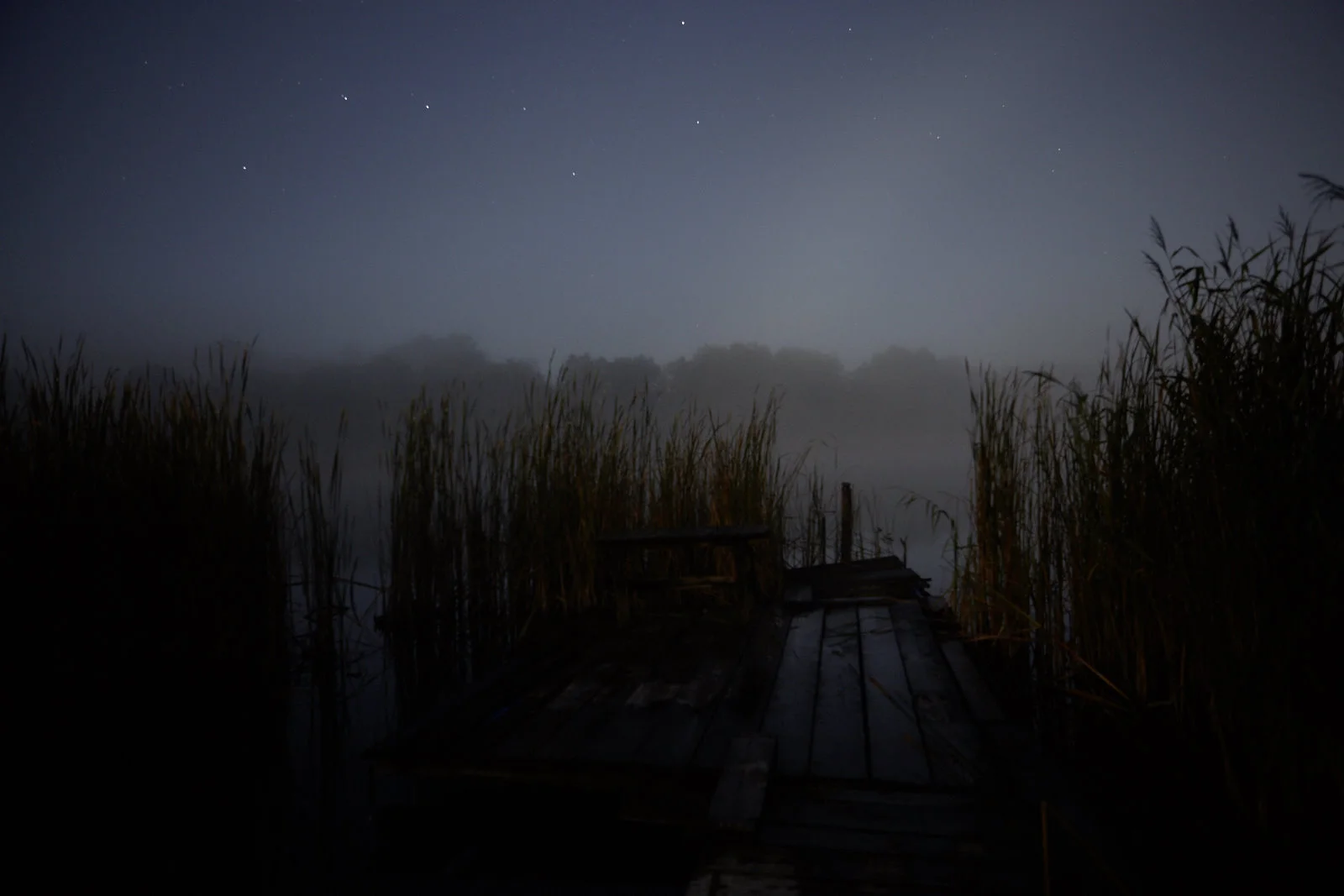 Jan Strempel Nebel Pehlitz 8.2016_MG_9565.jpg