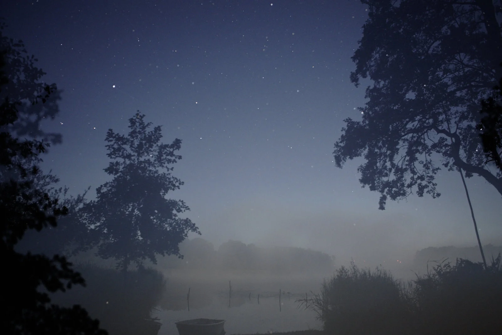 Jan Strempel Nebel Pehlitz 8.2016_MG_9584.jpg