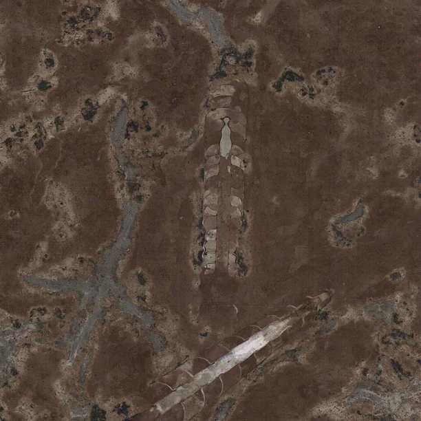 KALKSTEN RÖDROSIG