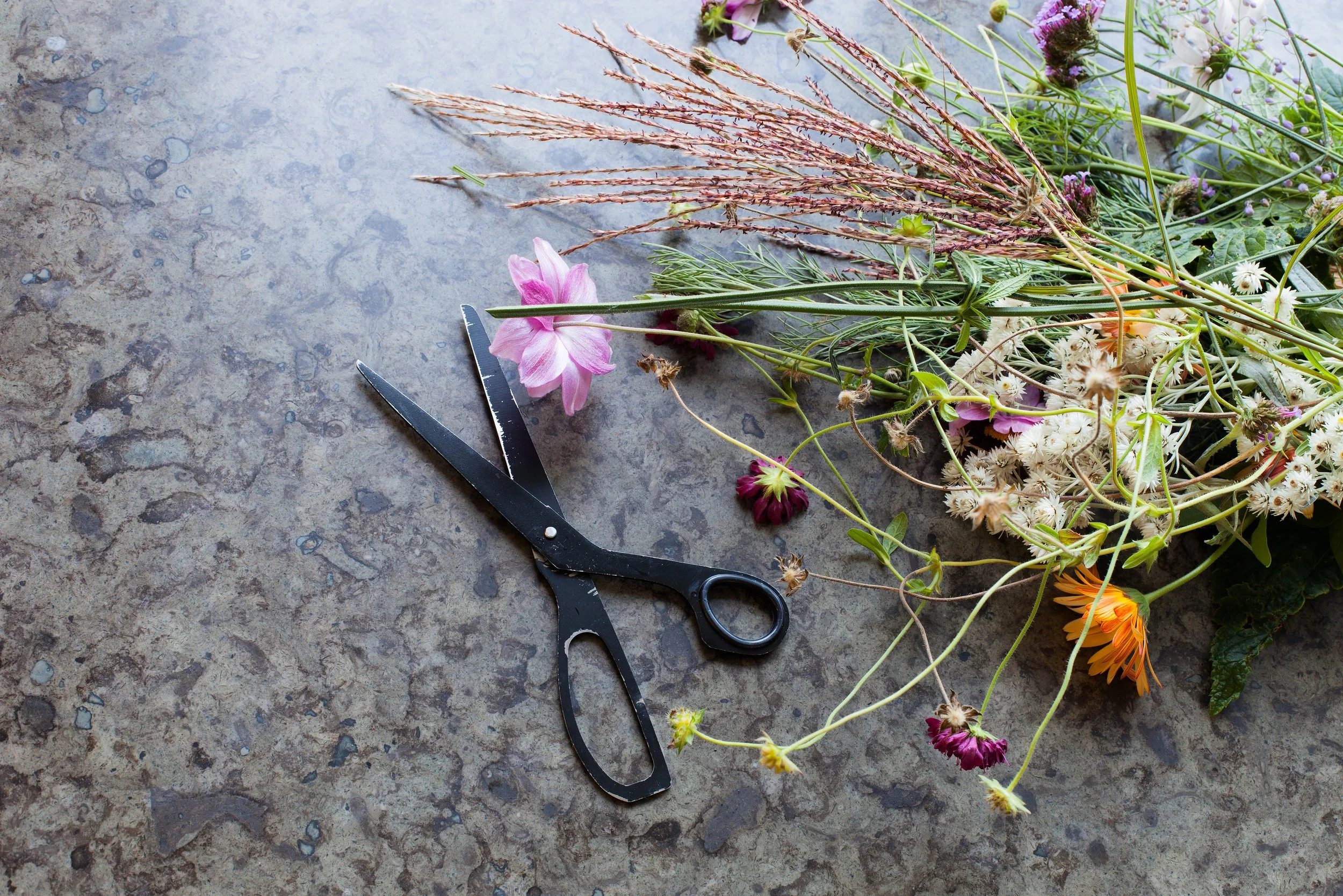 Blommor och sax på stenyta - guide för att välja bänkskiva i sten