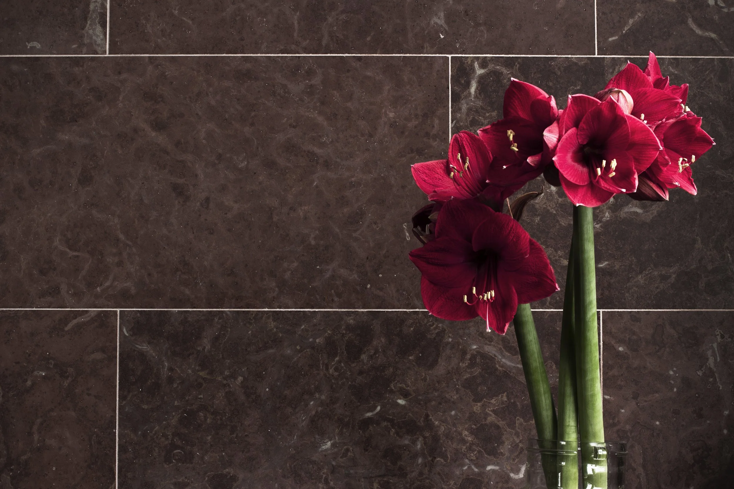 Röda blommor på mörk stenskiva som illustrerar jämförelse mellan kalksten, marmor och granit