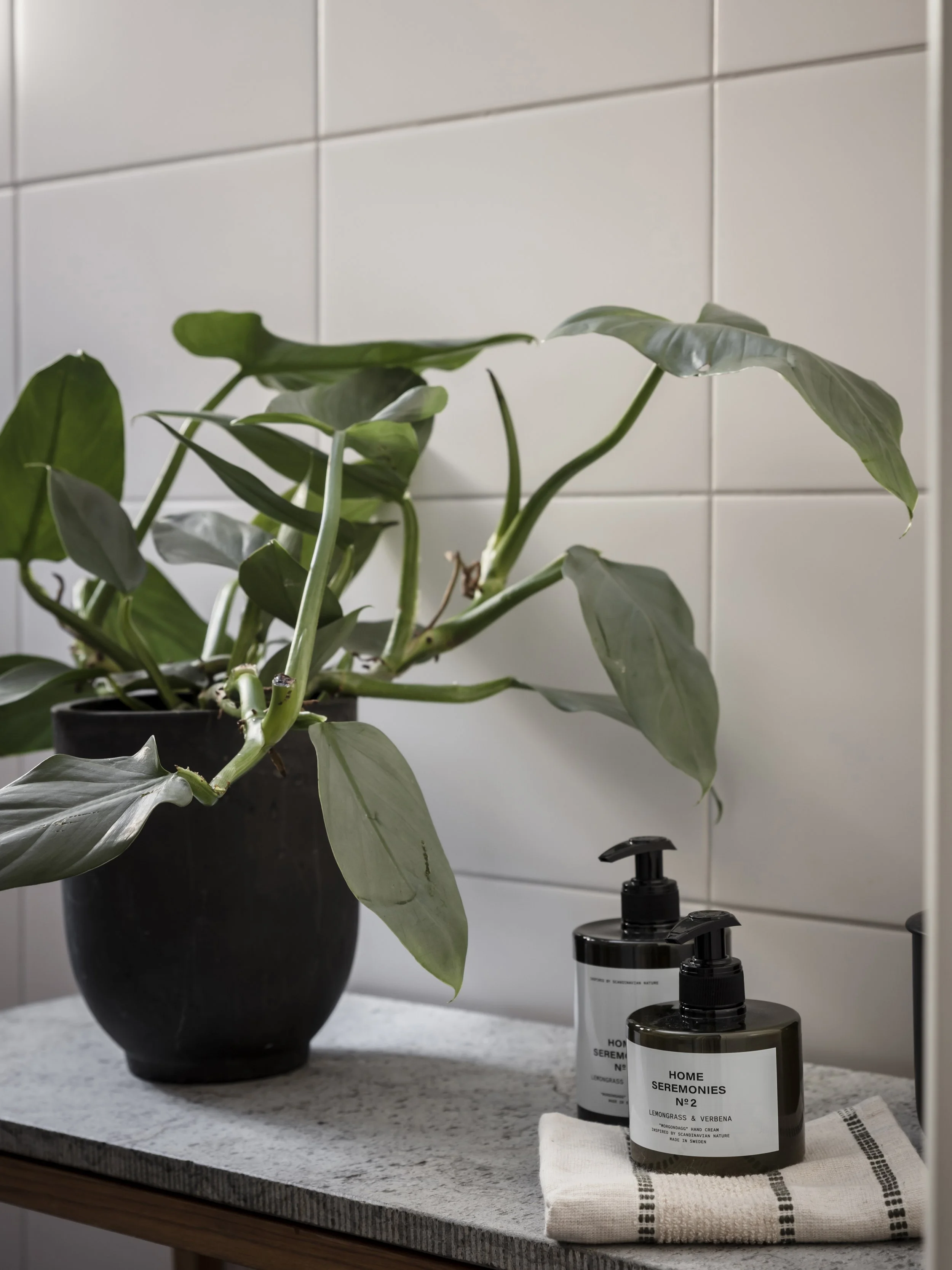 Grön växt och flaskor på bänkskiva i sten i badrum