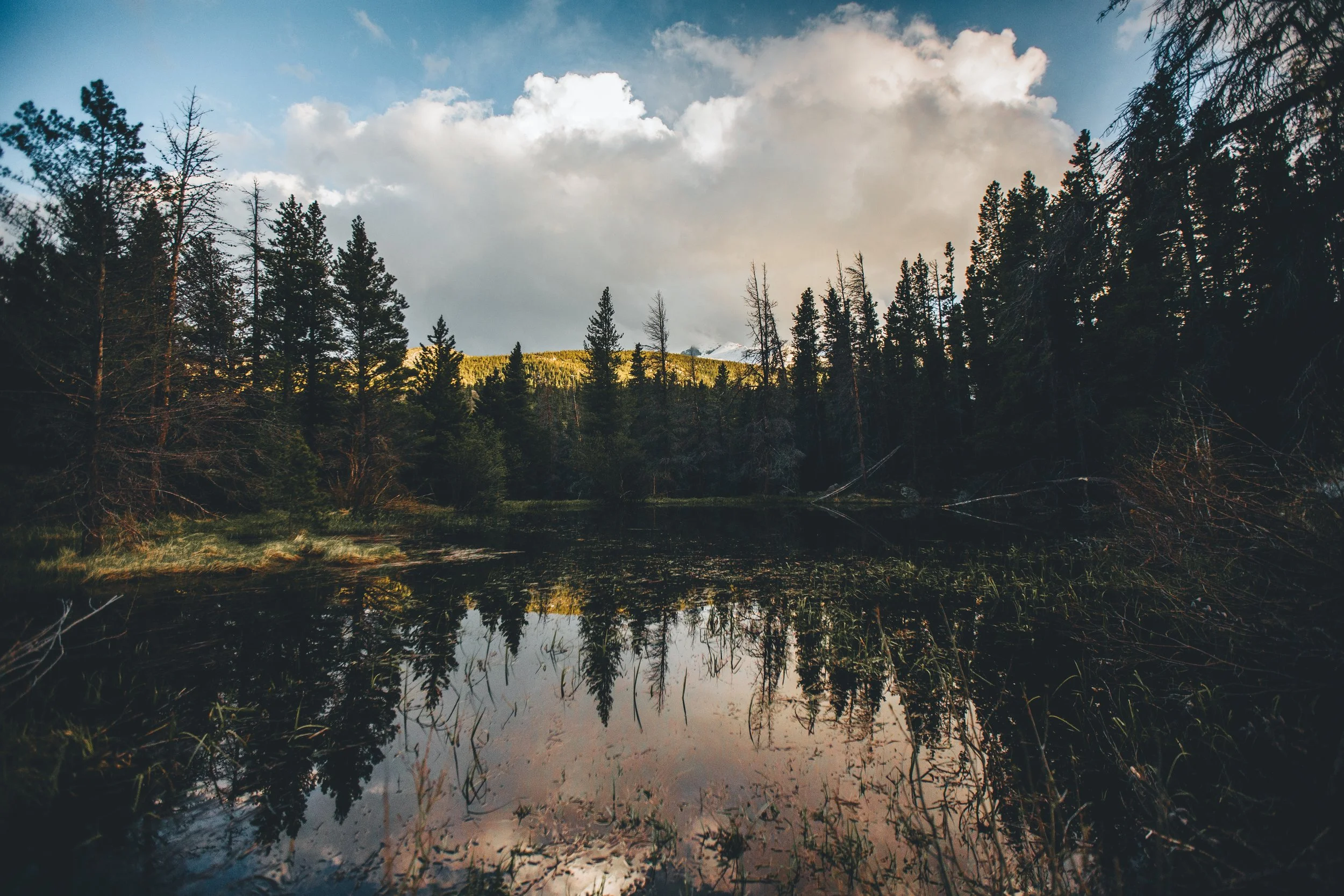 20170528-4F3A9656jhbvjhb_Color1 2.JPG