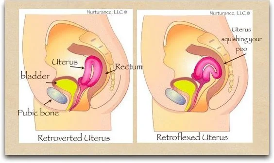 Image from Barbara Loomis at http://alignmentmonkey.nurturance.net