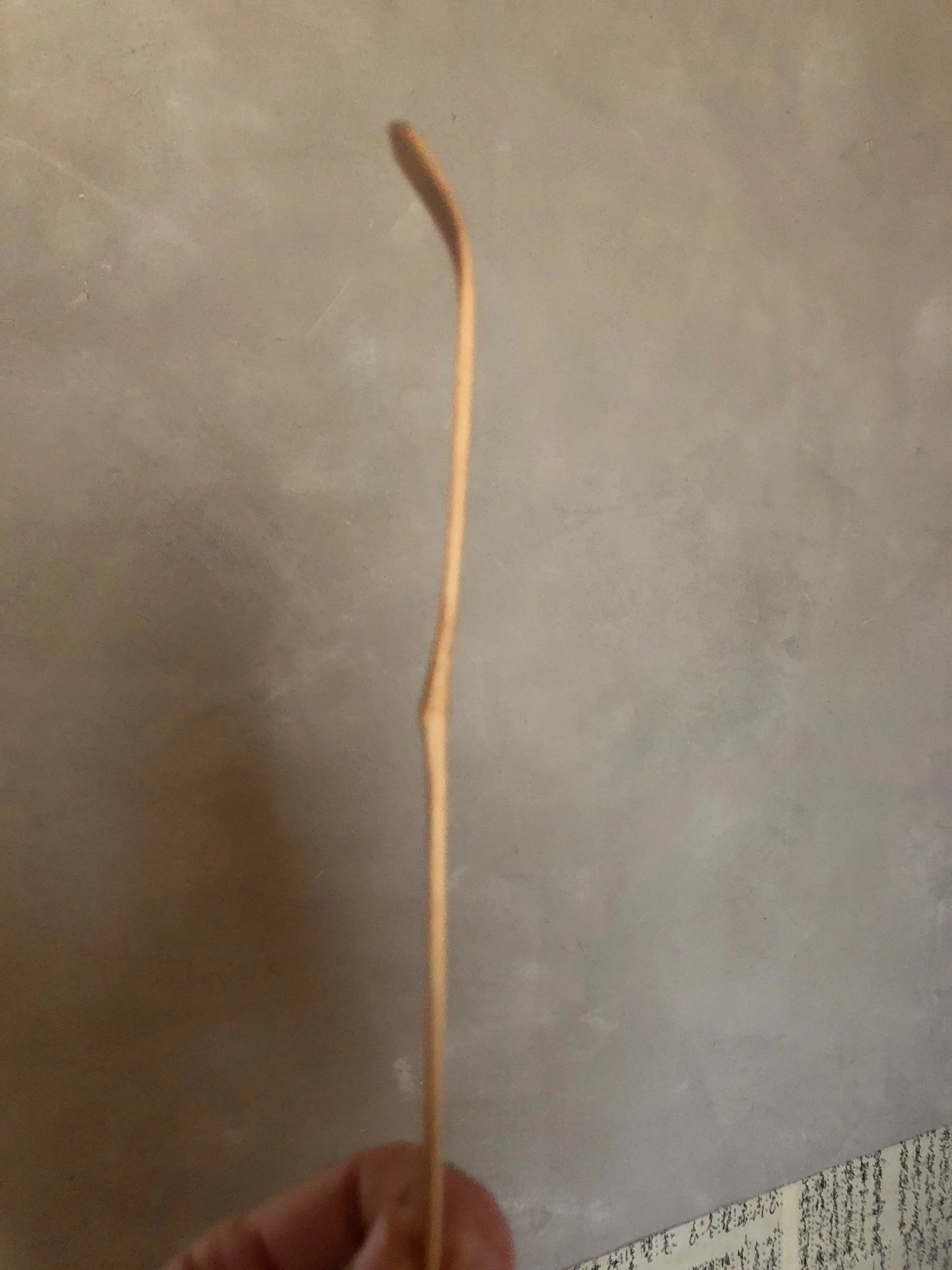 222A7732-BB95-40AE-BF91-B39827412177.jpeg