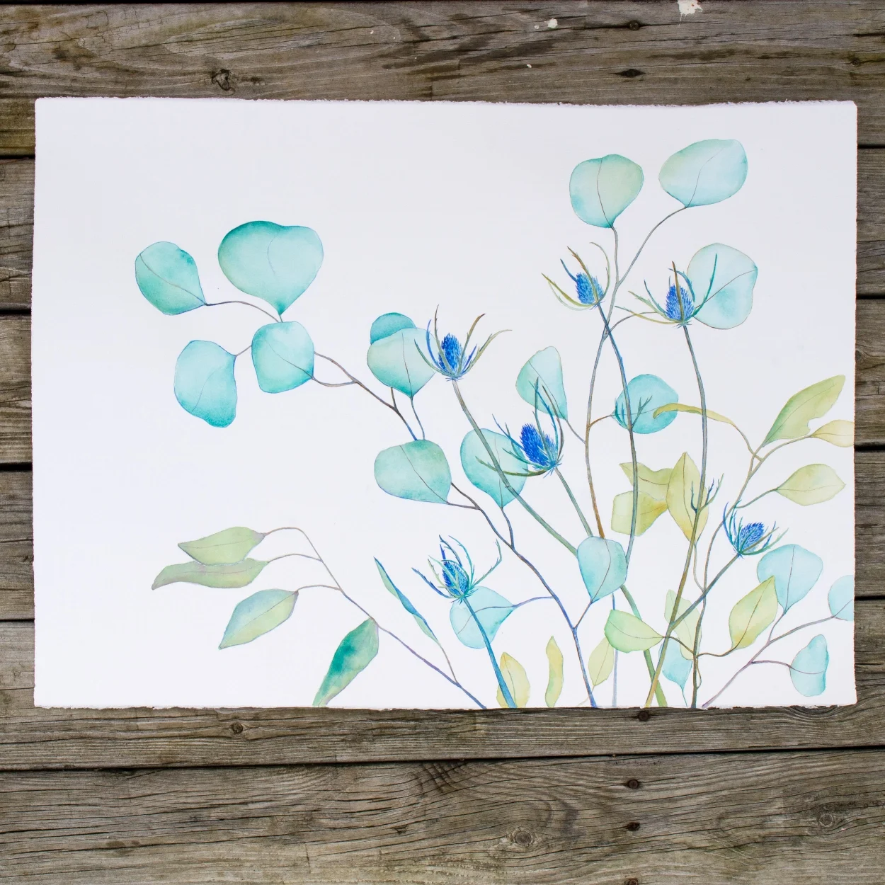 Thistle-Blues.jpg