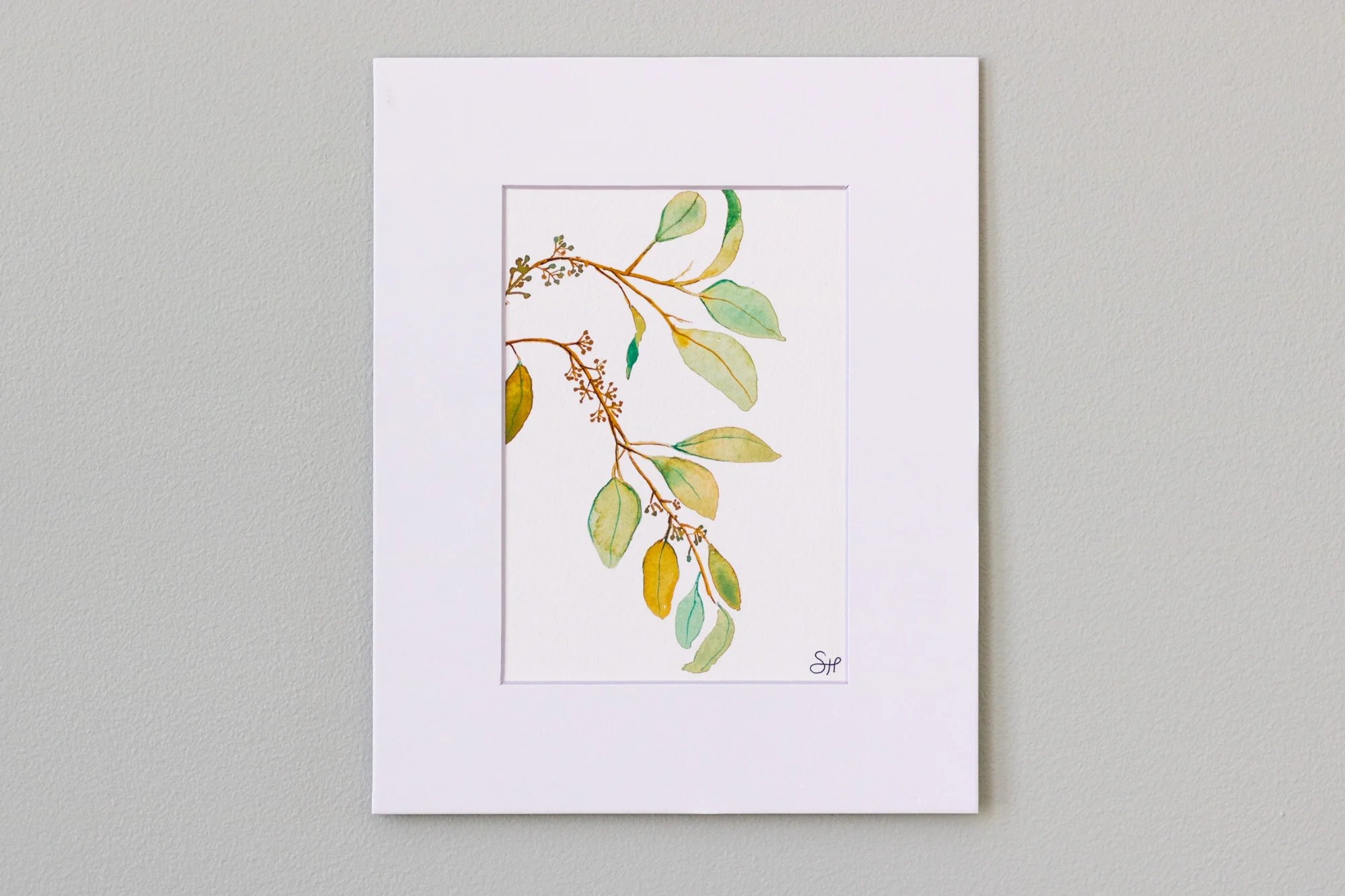 Seeded-Eucalyptus.jpg