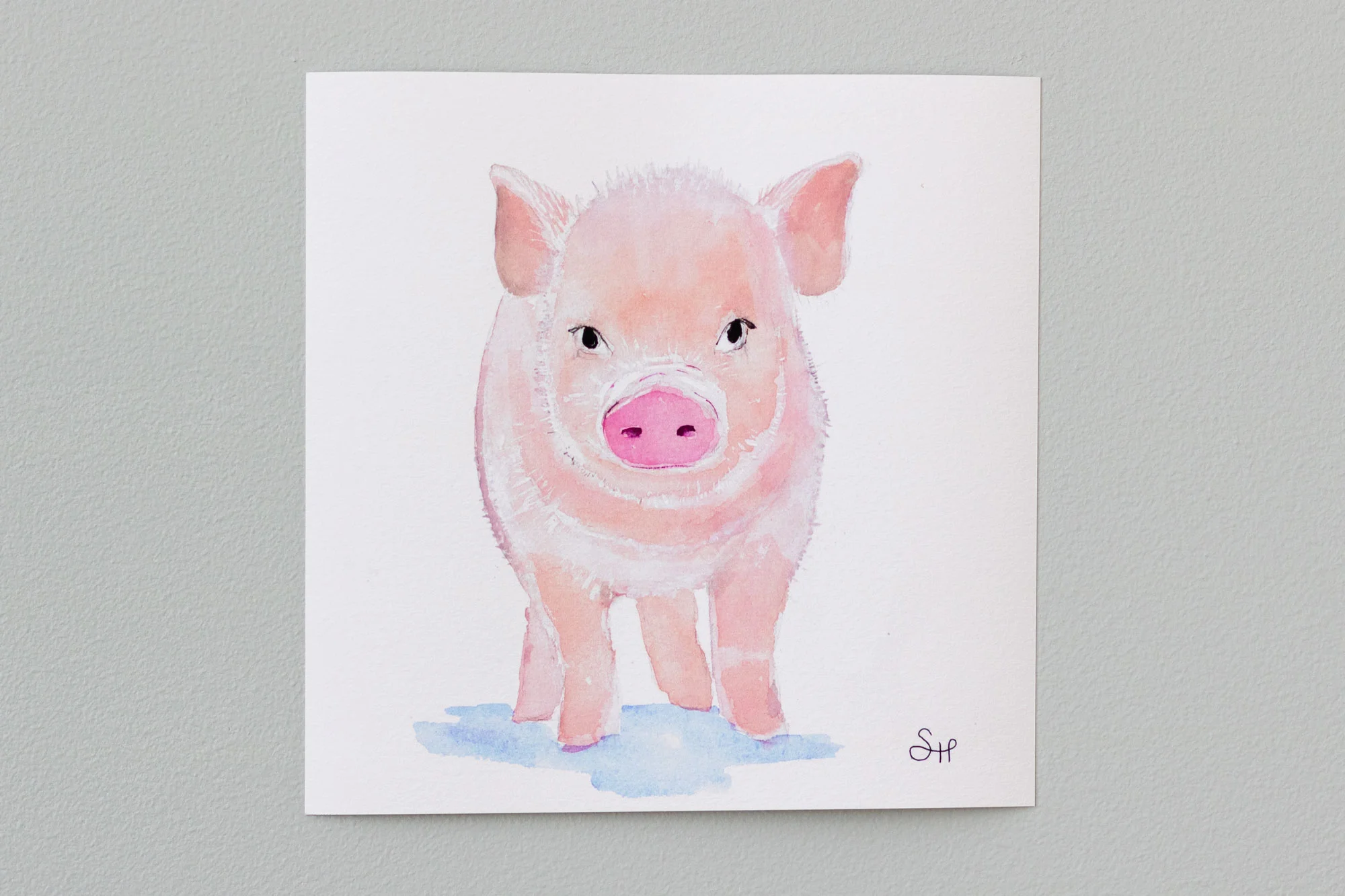 Piglet.jpg