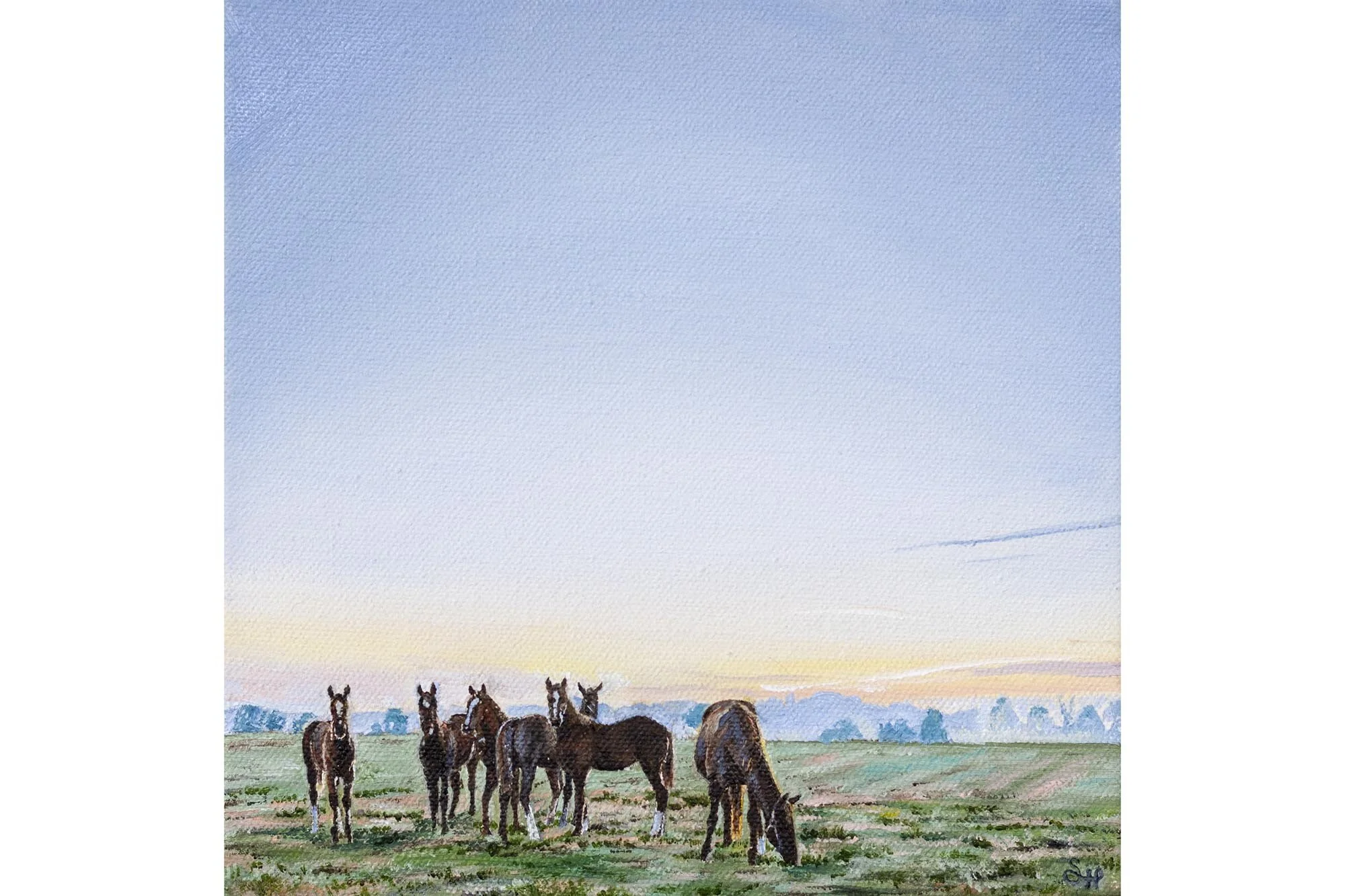 Horse Country 8x8small.jpg