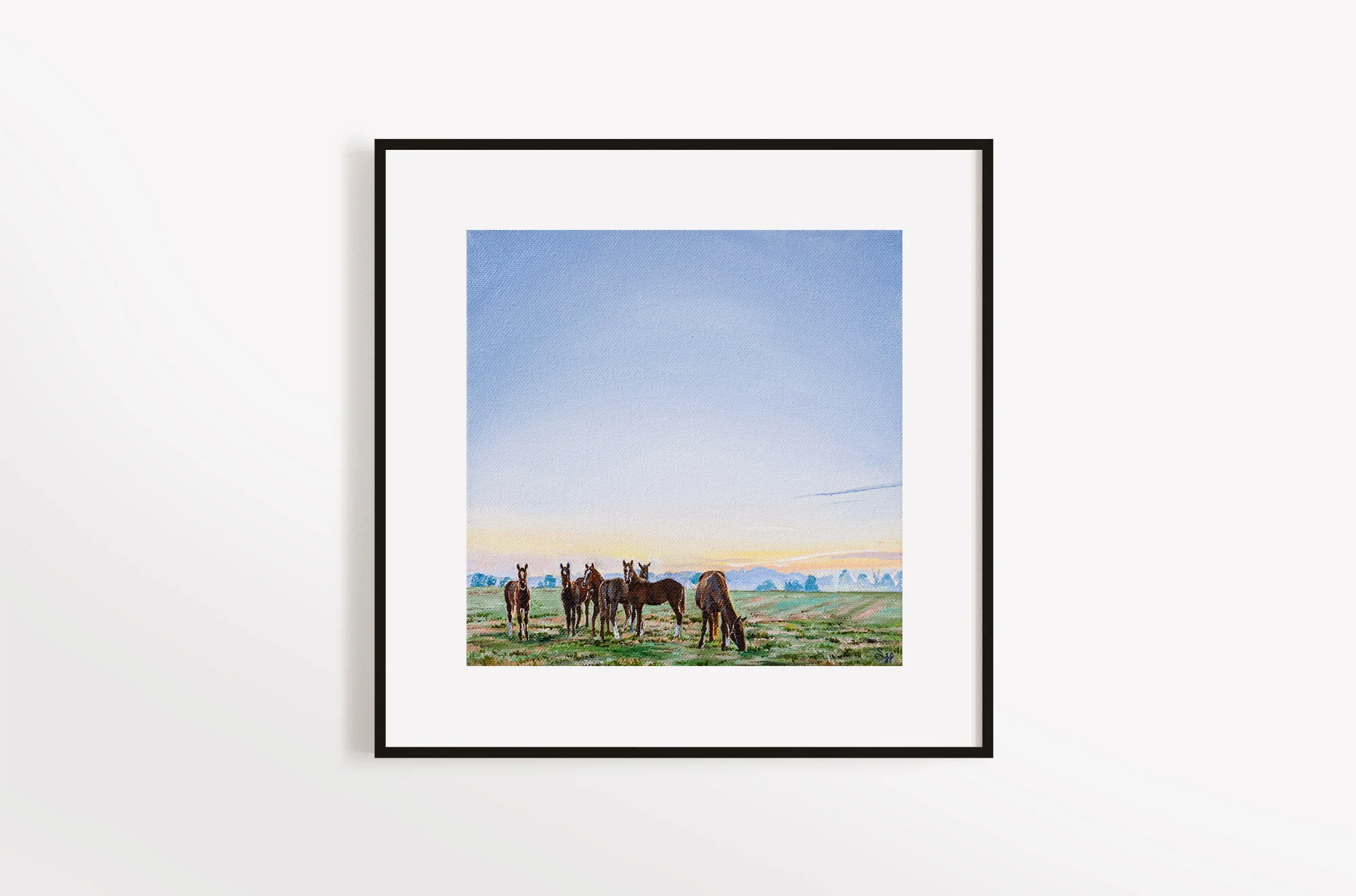 Horse Country_.jpg