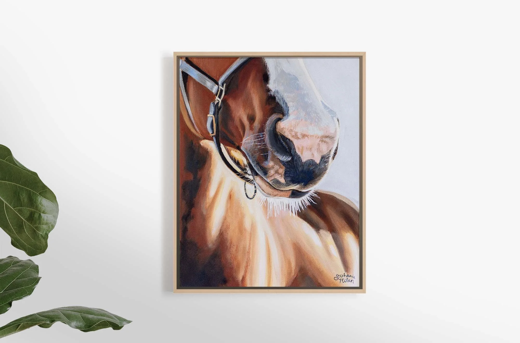 Nosey canvas_.jpg