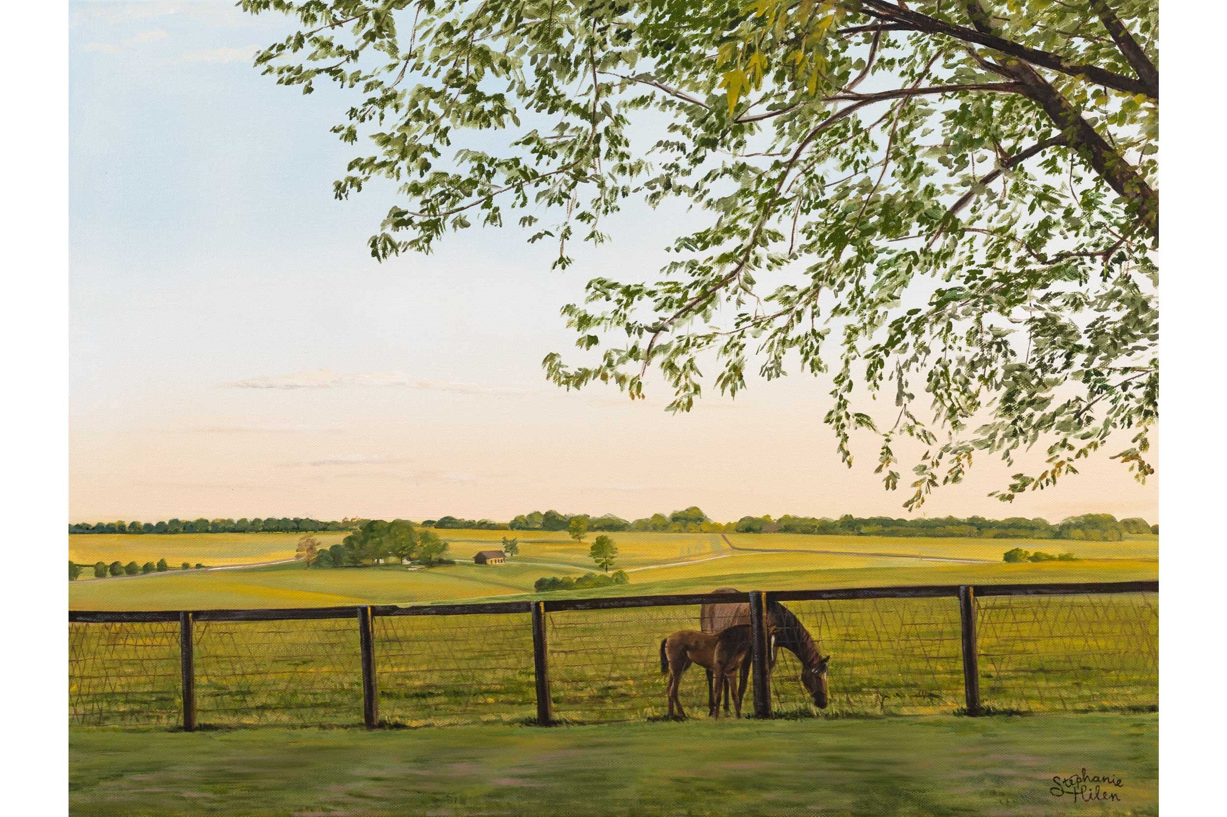 Equine Paradise