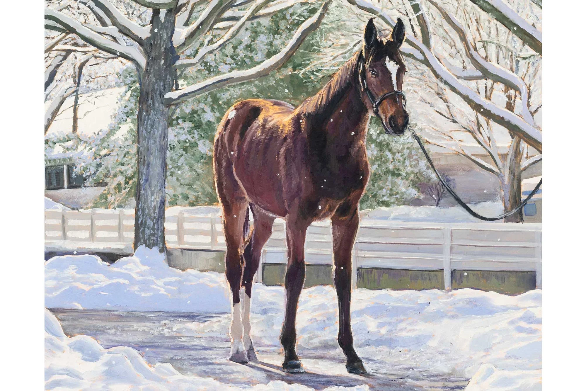 WinterProspect-web.jpg