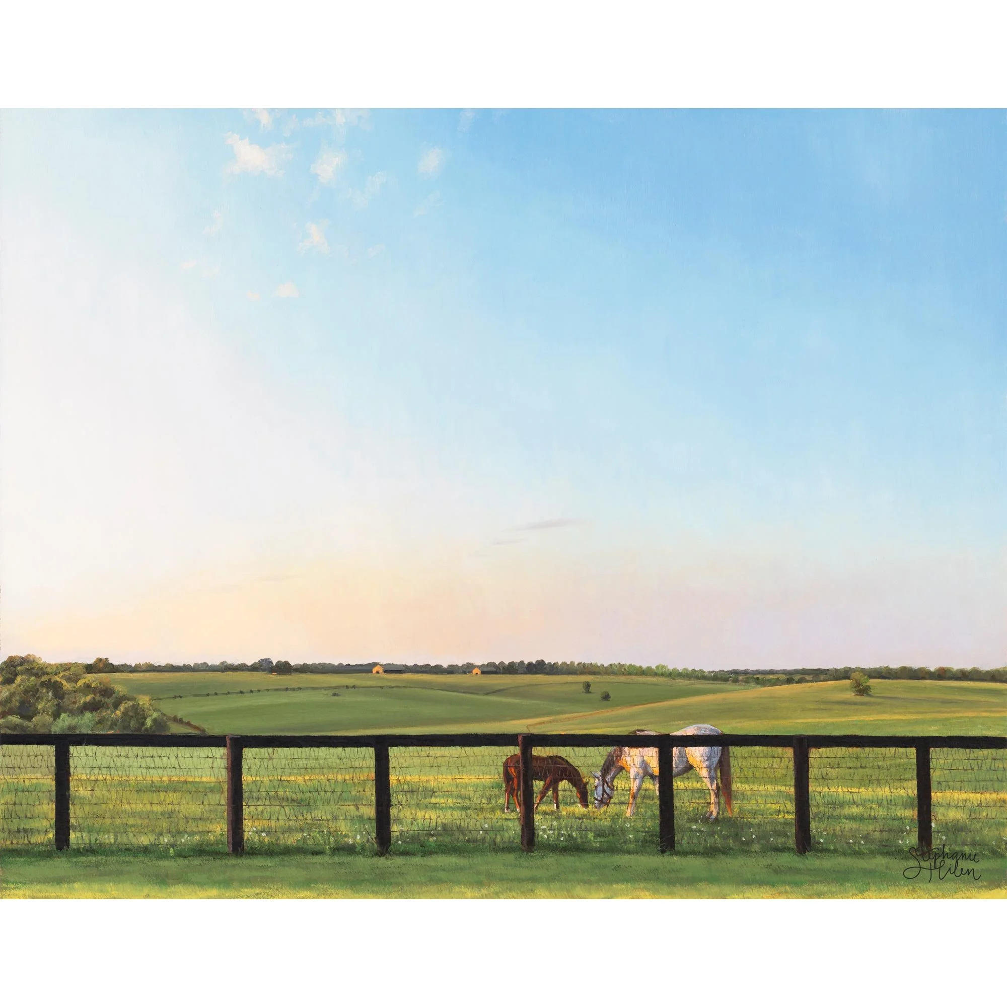Shade-of-Morning-crop.jpg