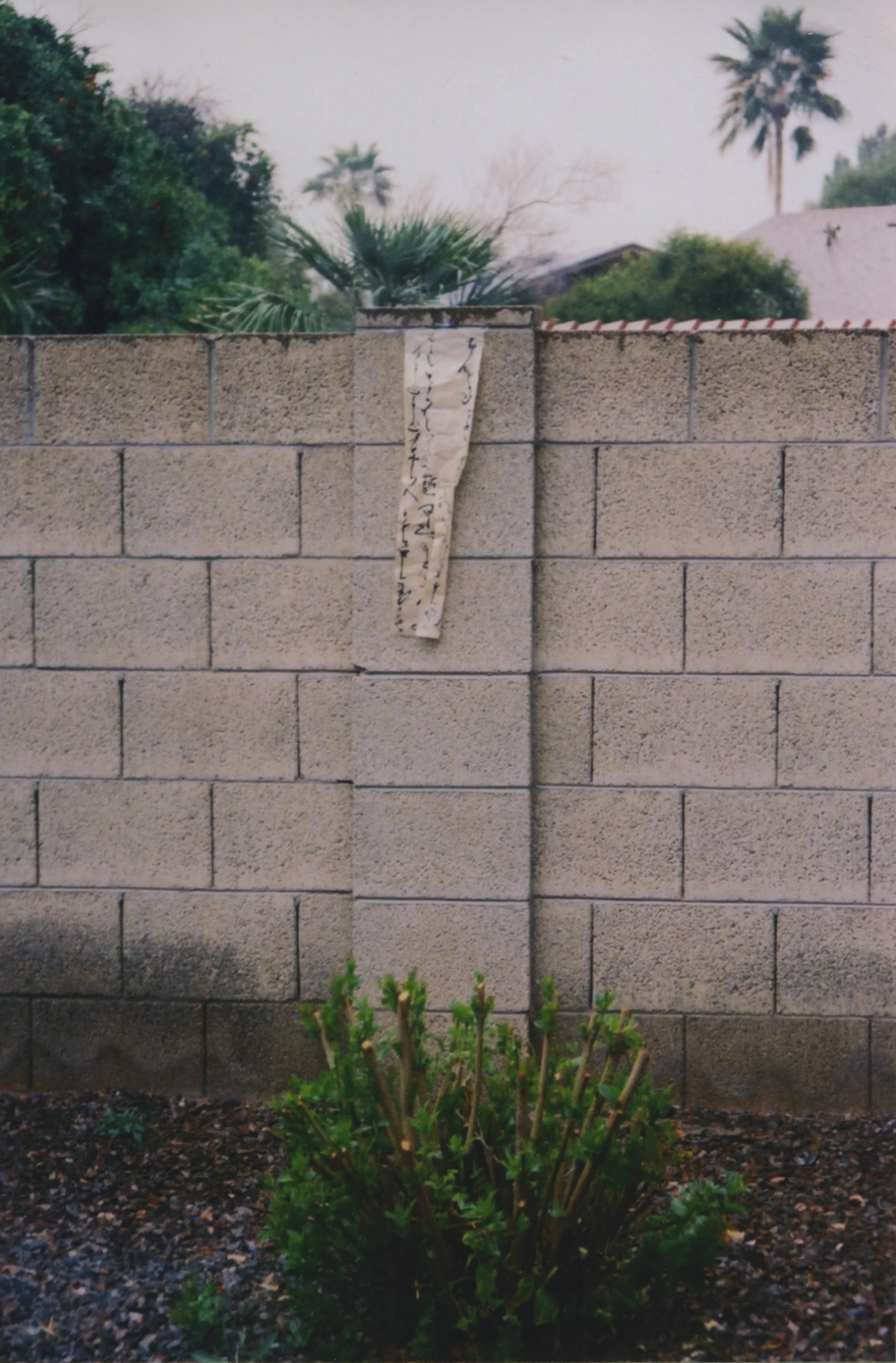 rain001.jpg