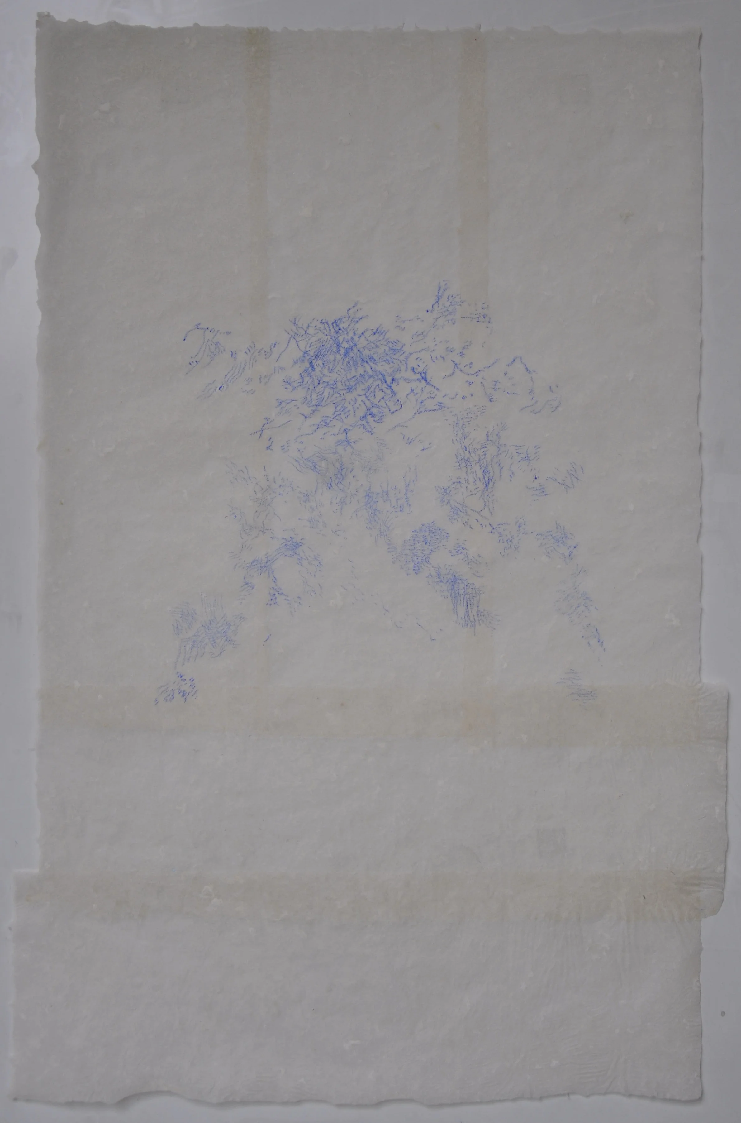 blue wax study 1.jpeg