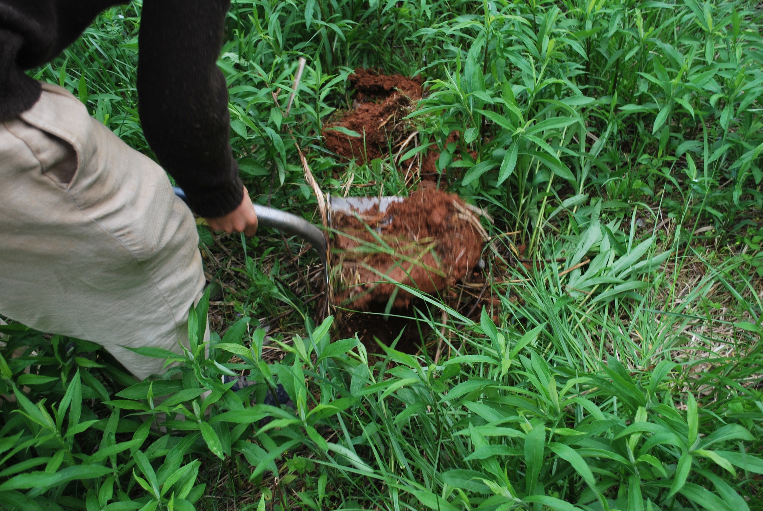 Man digging up red clay in Candler North Carolina Shannon May Mackenzie photo 