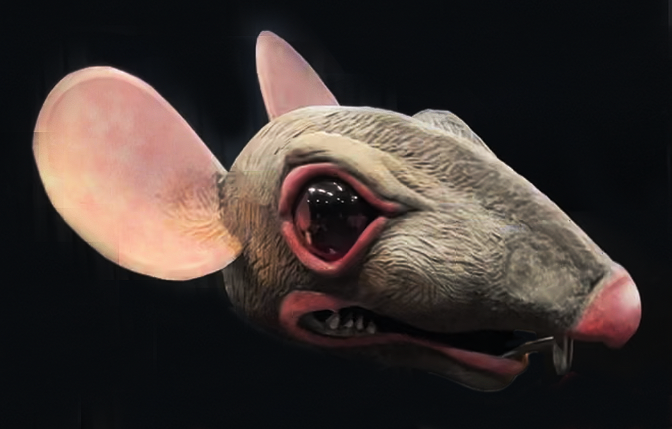 image-asset.png