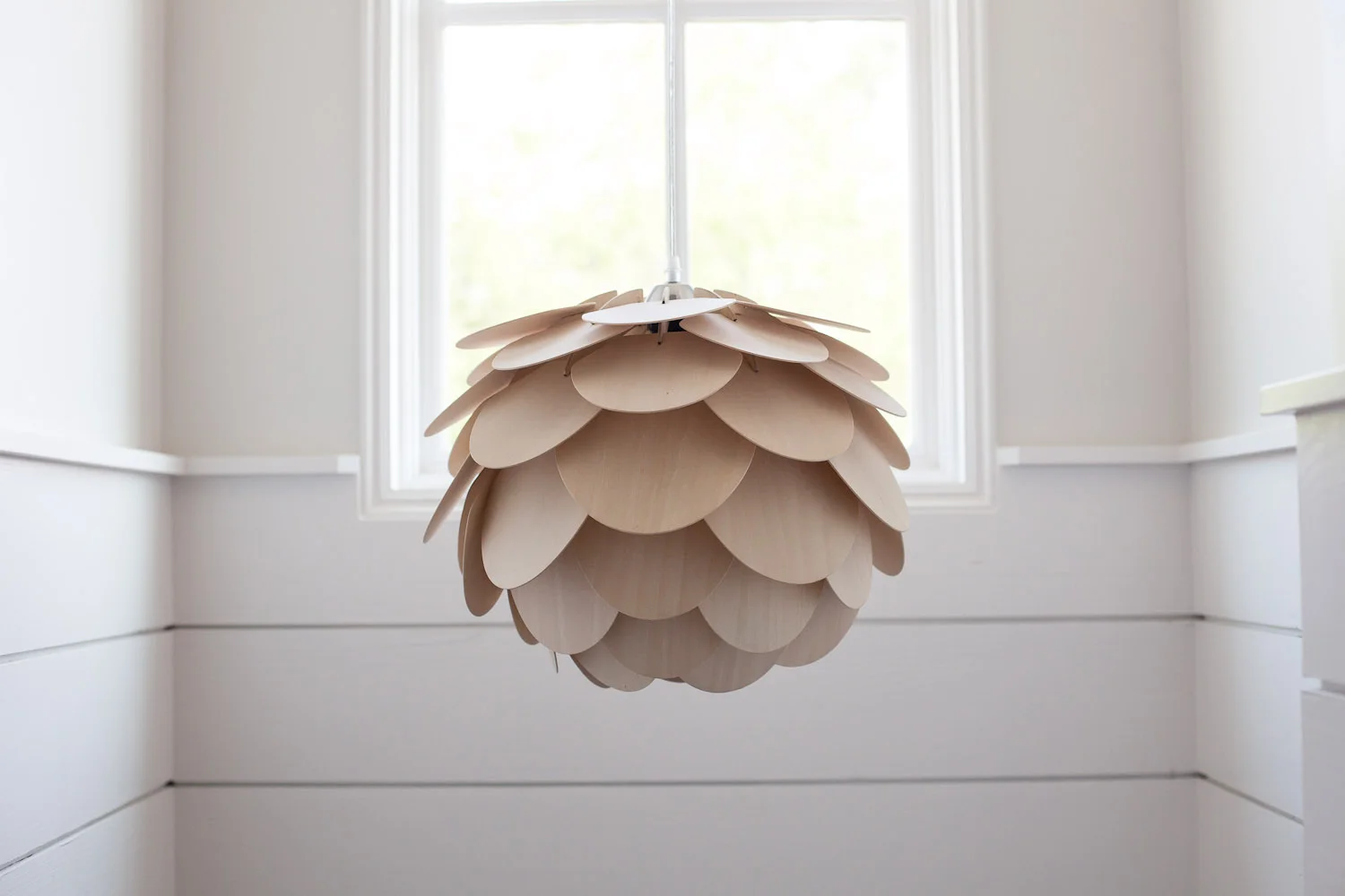 HW_Chestnut-95.jpg