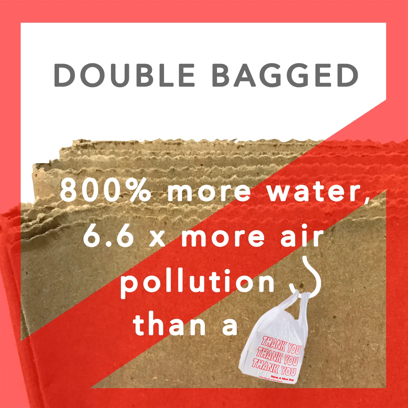 7.DoubleBagBan.jpg