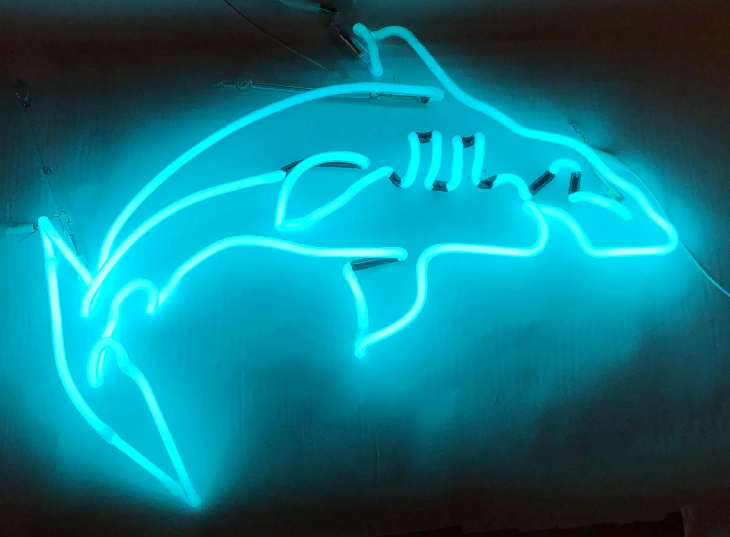 Meryl Pataky ”In Spite Of Fear” glass tubing, phosphor, argon, mercury. 16 x 22 Inches. 2019. Edition of 10.