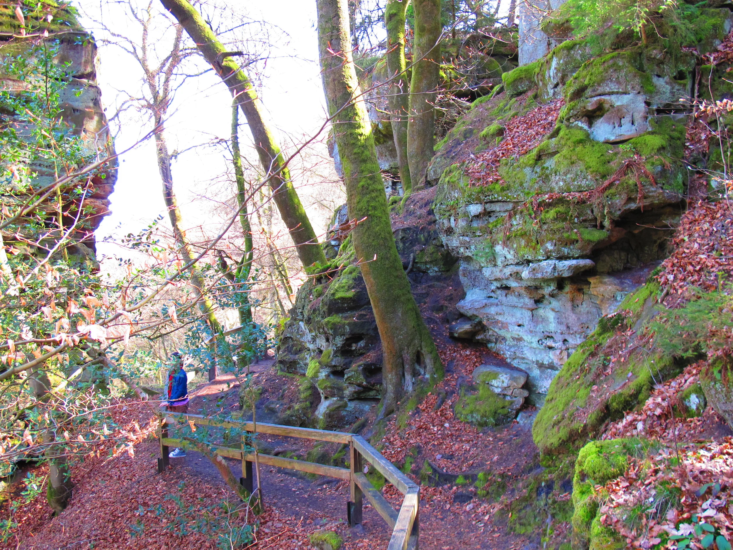 Geheimnisvolle Felsenwelt