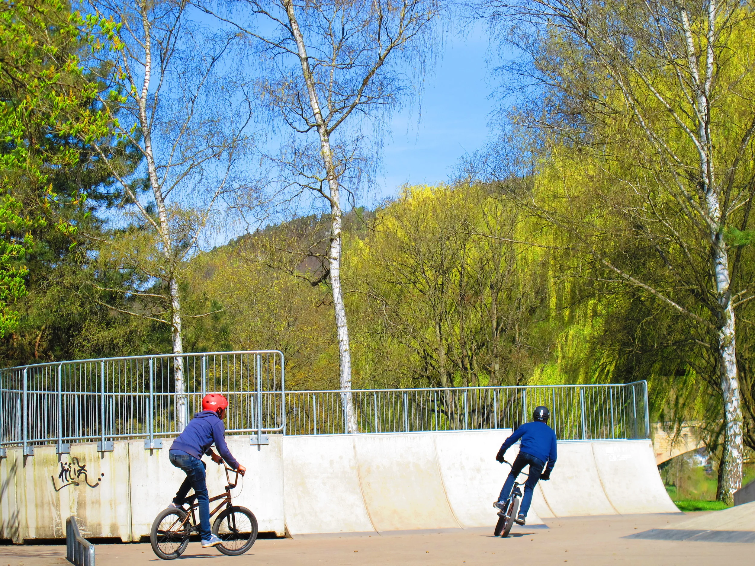 Freestyle biking