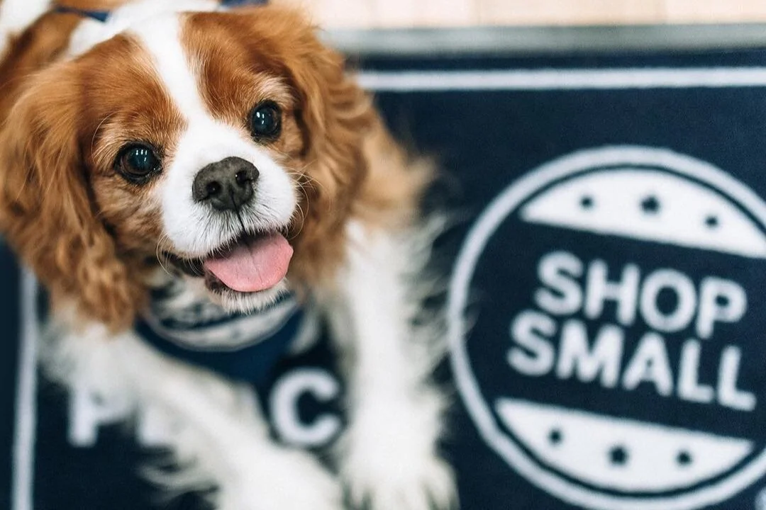 shopsmall_23280171_1736390976431822_8691765723967520768_n+%281%29.jpg