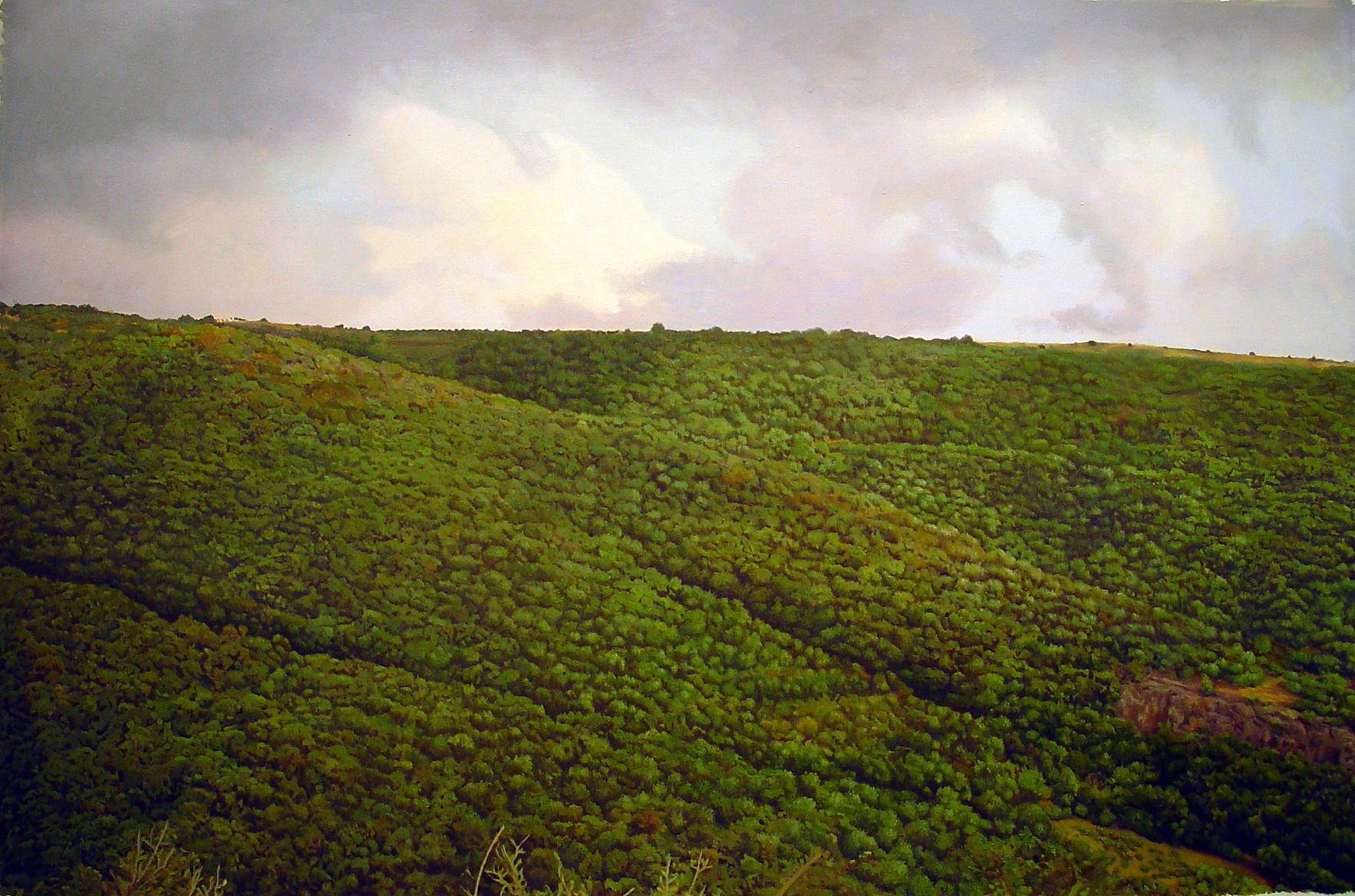 The Montfort Series, 1999