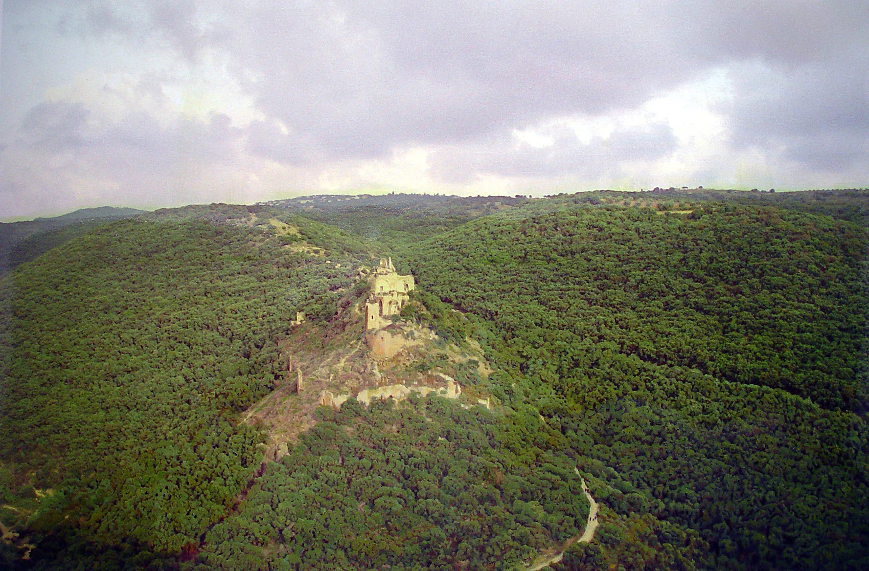 The Montfort Series, 1999