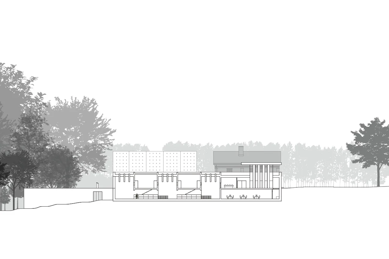 Section D