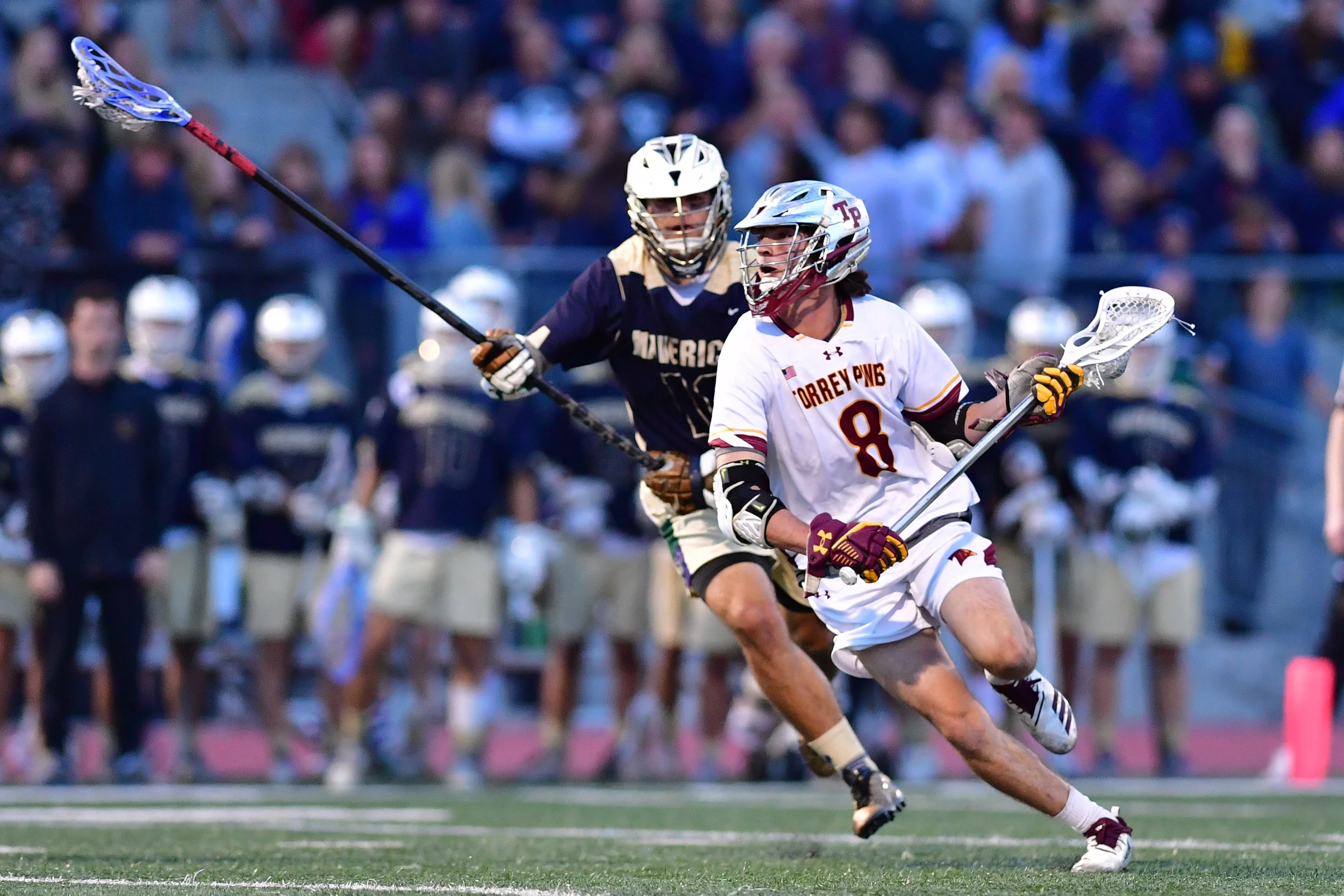 Torrey Pines Lacrosse