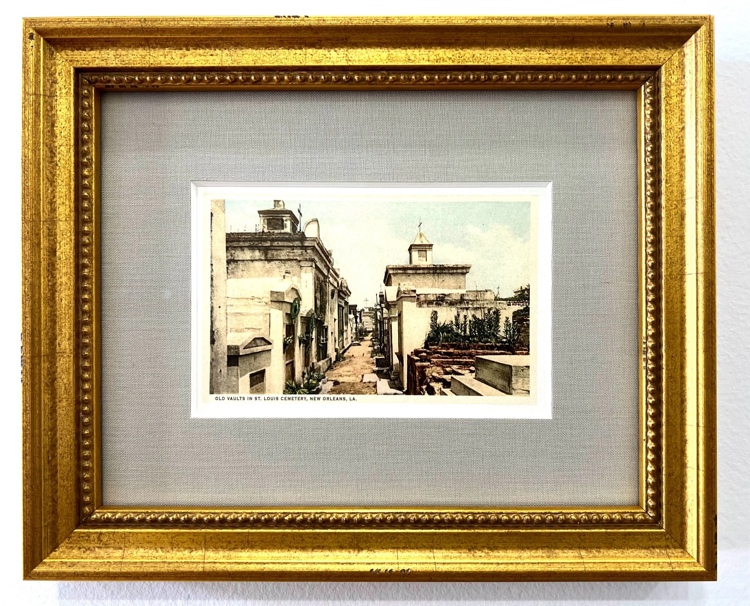 63B0A8C2-E458-4690-94BC-8AA753AD9553