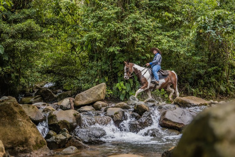 ALG_Experience_A-Day-as-a-Vaquero_2021_26.jpg