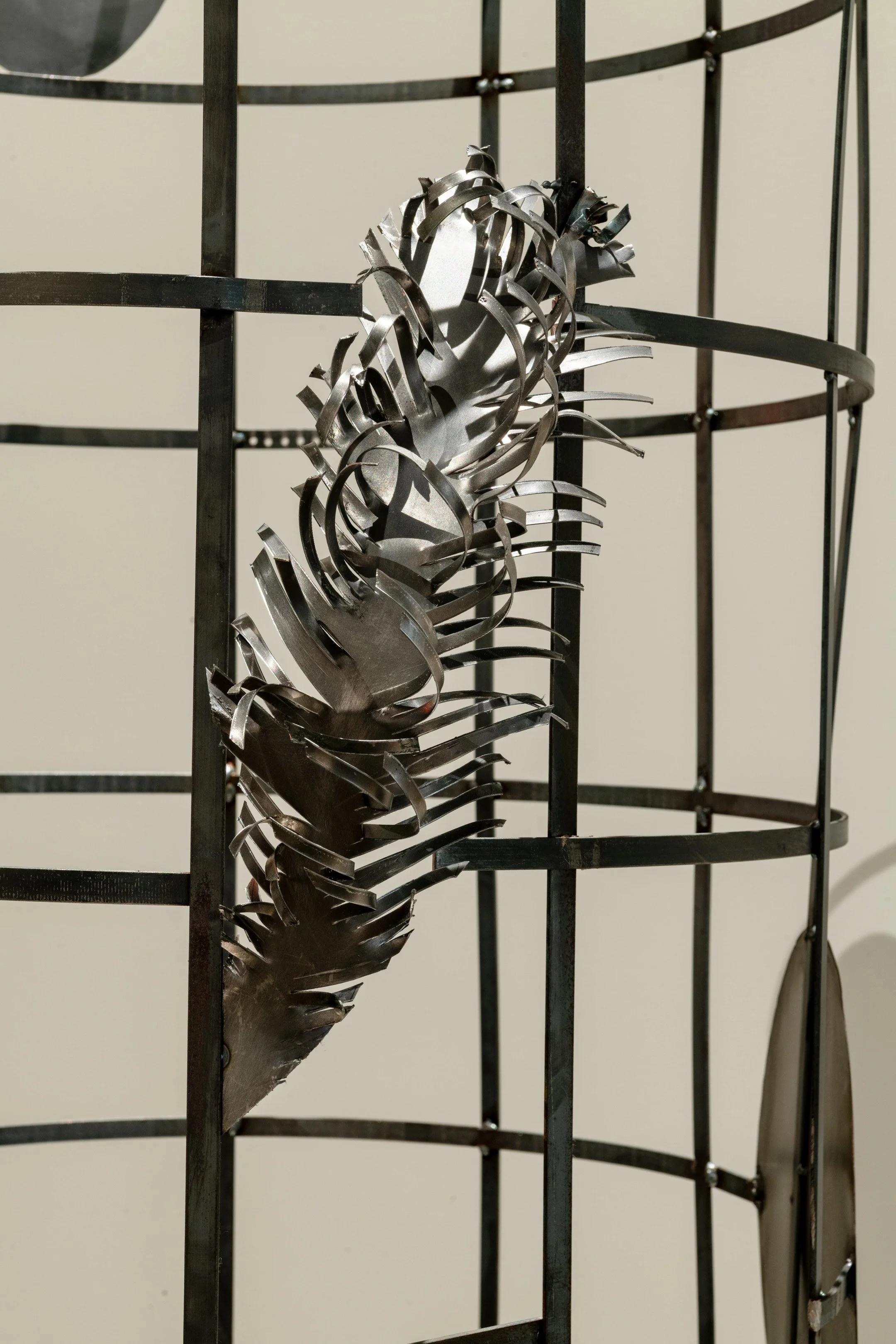 SFAC-SplitGround-Woj7448.jpg