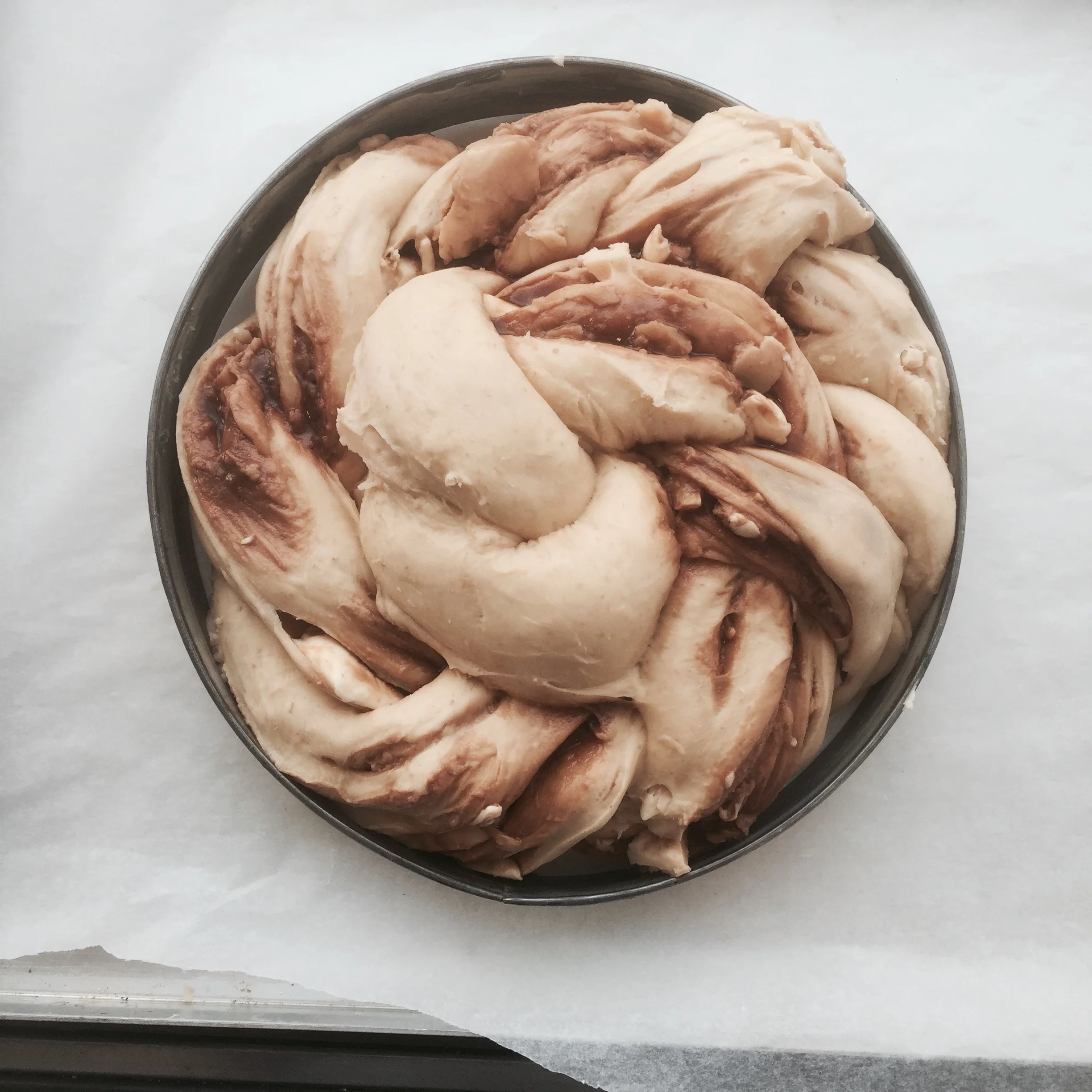 marmite and cheese sourdough babka.
