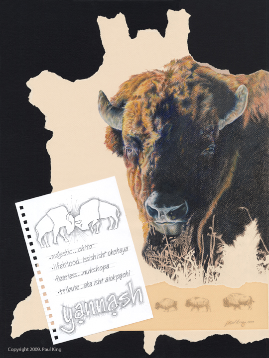 "Buffalo Tribute" #yannash