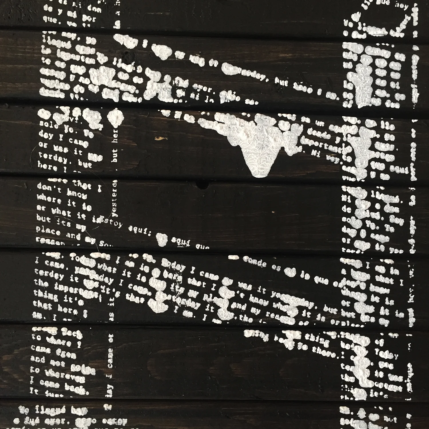  Detail of "In pieces, yet complete"  Silkscreen on wood 