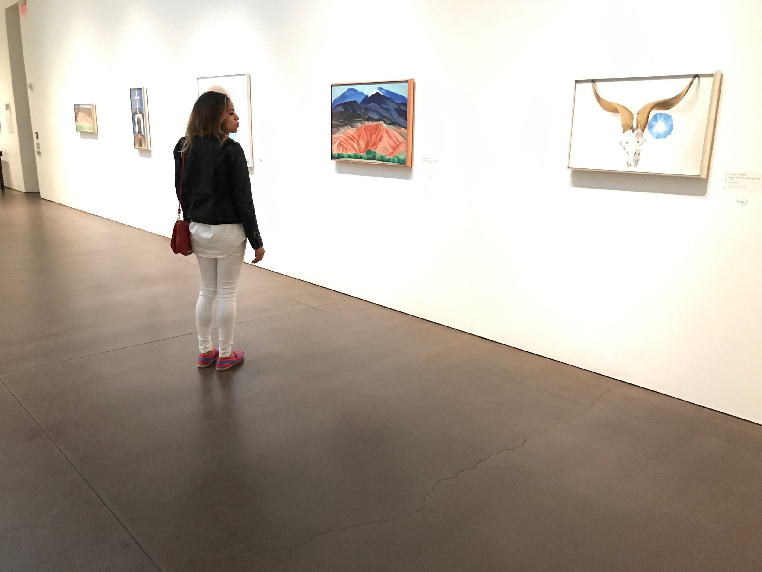 At the Georgia O'Keeffe Museum 