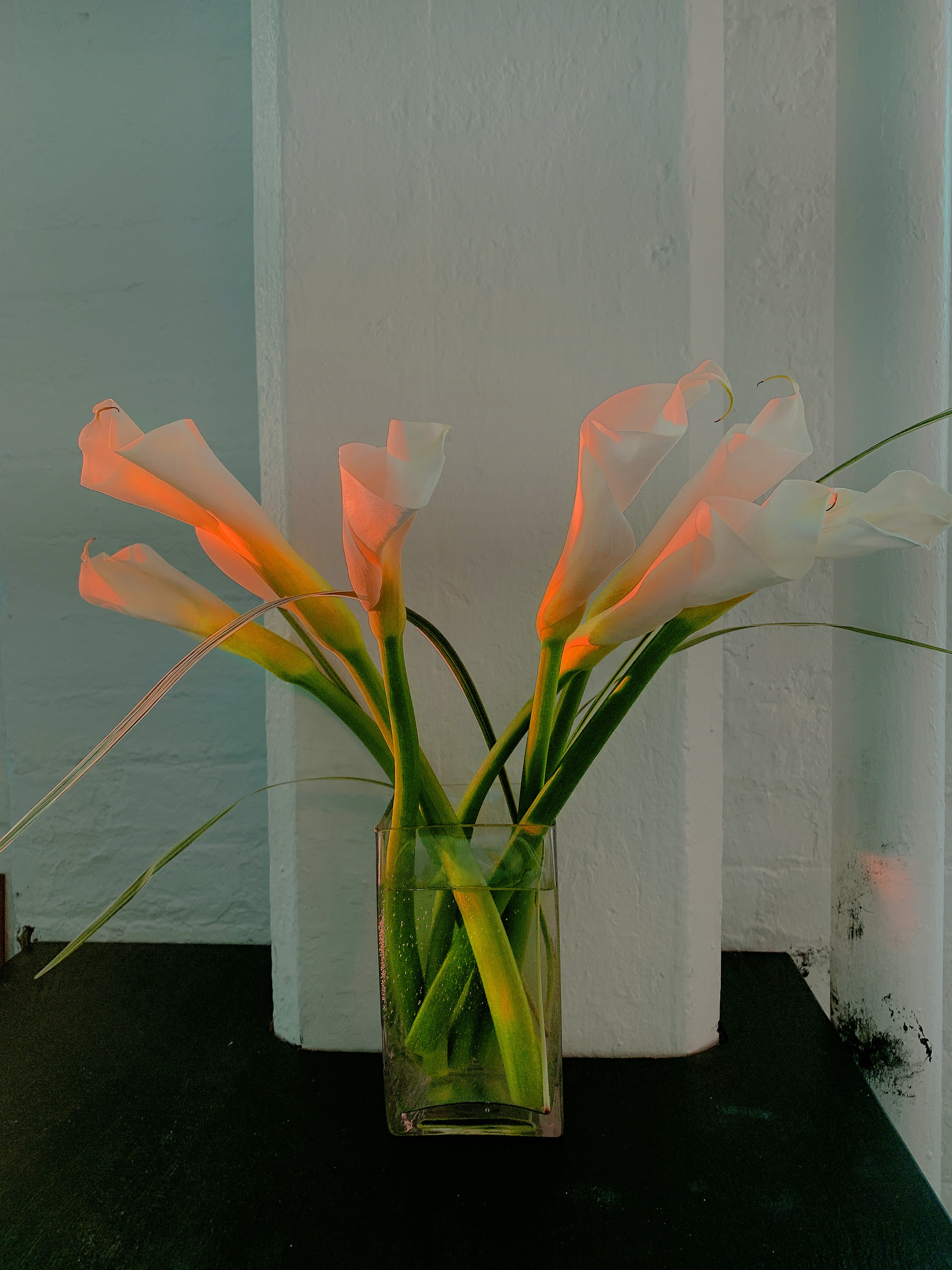 JULY IN ACCEPTANCE: EASY DOES IT