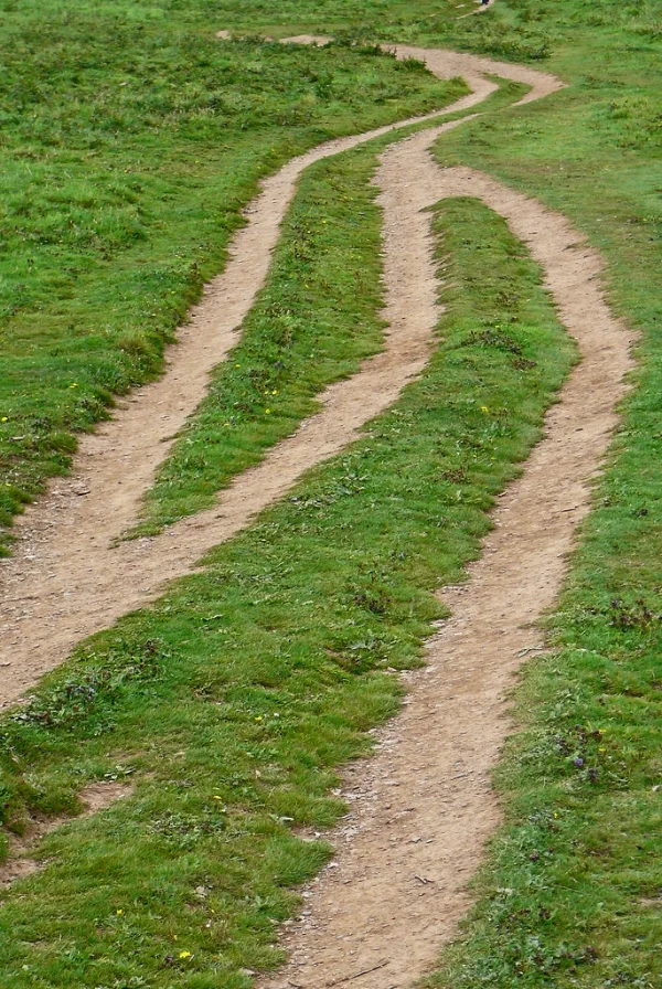manyroads.jpeg