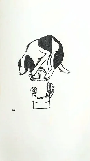 Dog Scared of Spiders