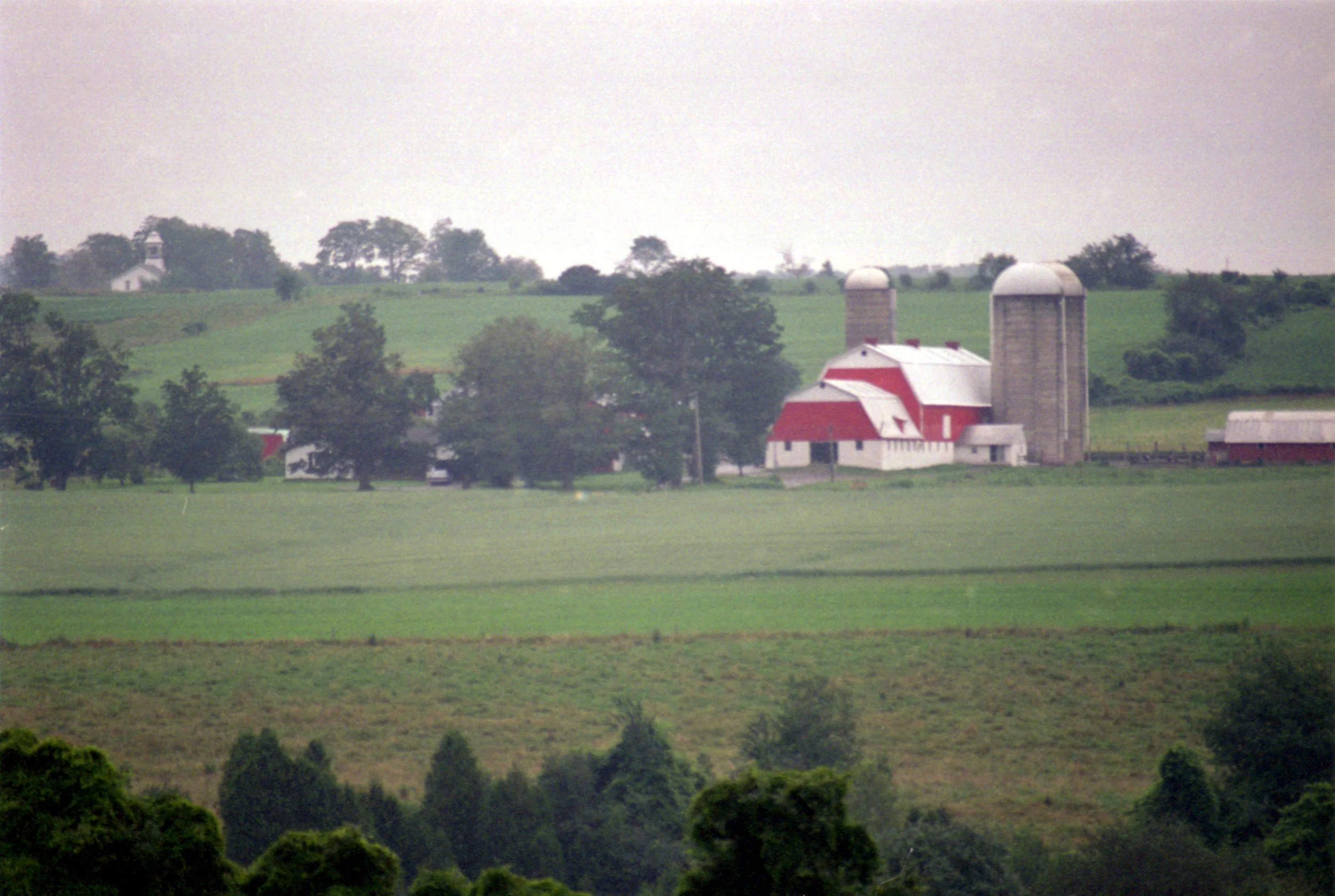 2001.06.15_FennerNY02.jpg