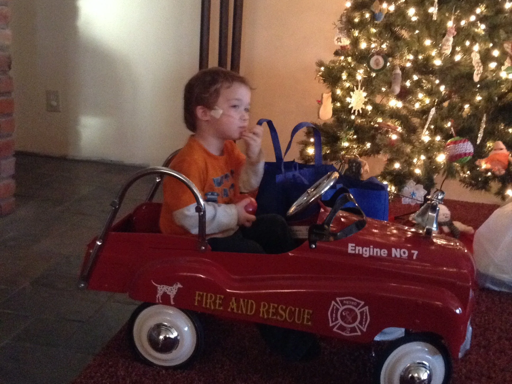 2013-12-28-christmas07.JPG