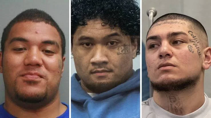 Auckland Crips gang trio Lasalosi Vaitohi, Ethan Jessop, Daziea Huia guilty of killing Peter Rasmussen, Ōtāhuhu rugby league stalwart