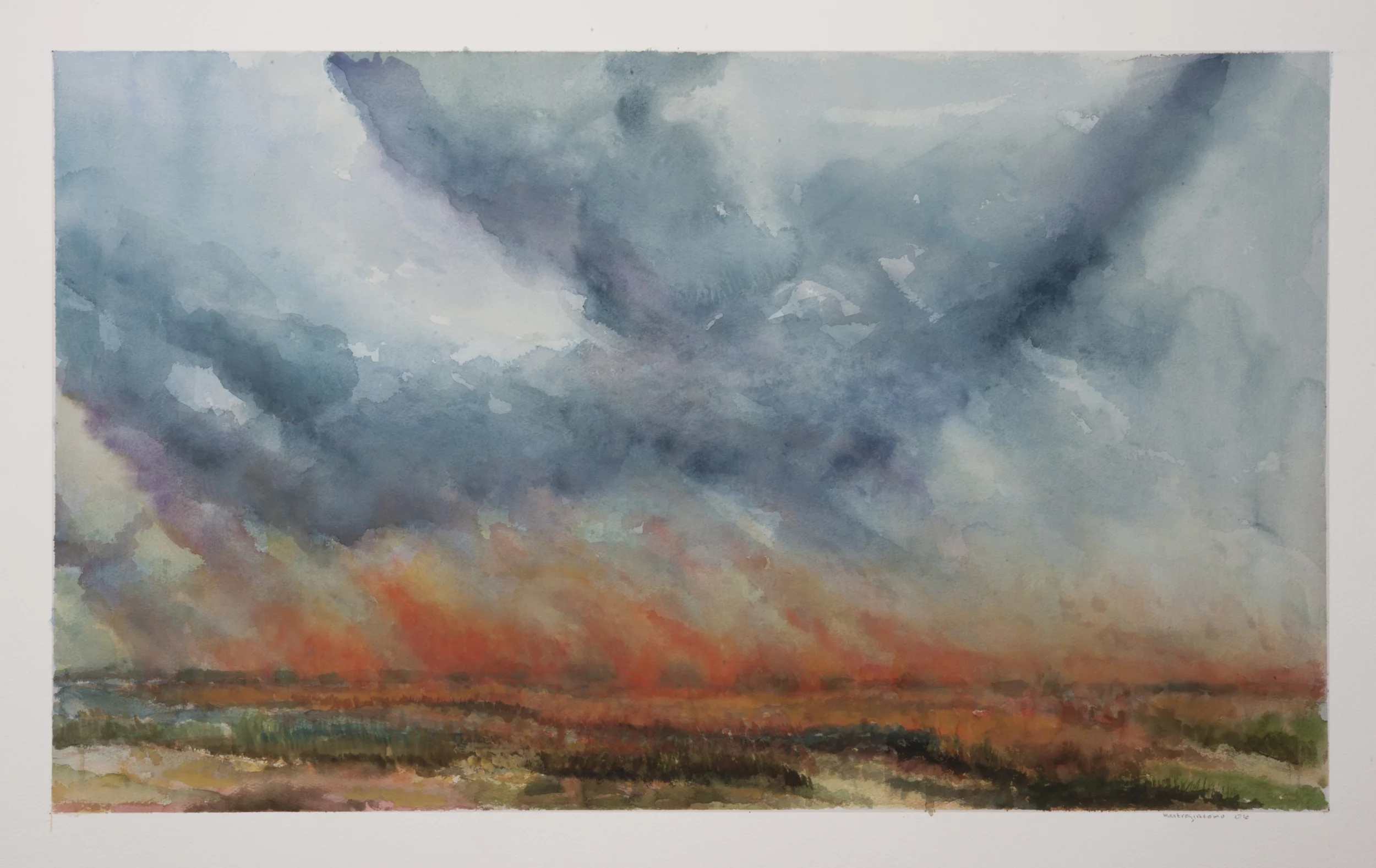 Field Fire 9  2011   35x21