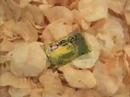 How we make Beer Chips® (2007)